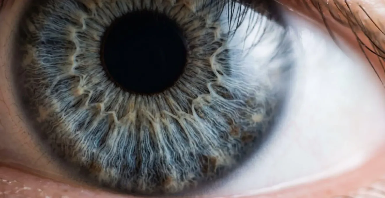 Symbolic representation of eye health transition at age forty showing biological aging markers