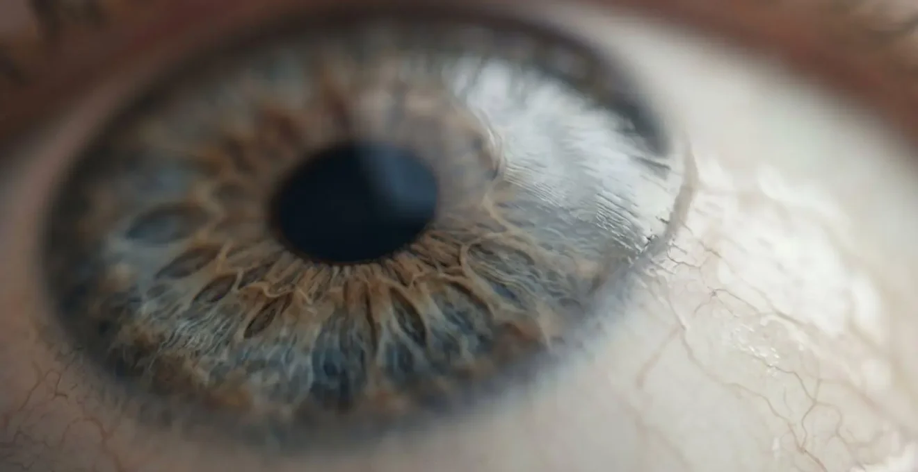 Macro detail of eye surface showing corneal tissue structure and pain sensitivity