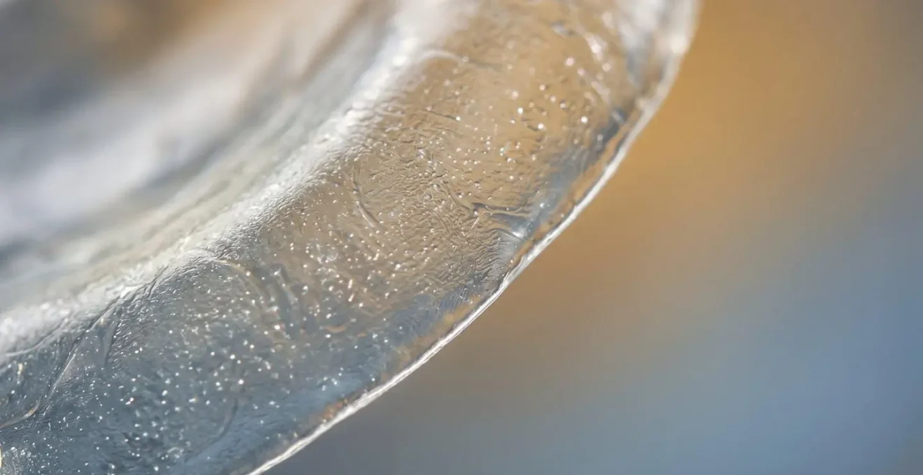 Macro photography showing the intricate natural structure and texture representing corneal surface integrity in laser eye surgery