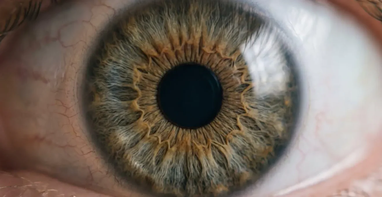 Precise demonstration of cover test technique revealing eye movement patterns during binocular vision assessment