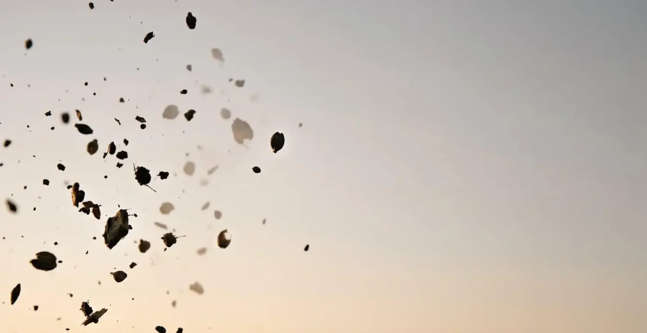Artistic representation of sudden visual disturbance through scattered dark organic particles against soft gradient background